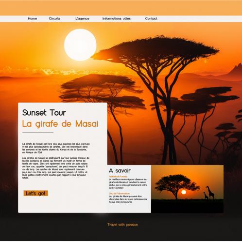 Webdesign - site de voyages